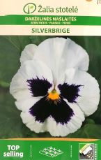 Pansy SilverBride Seeds